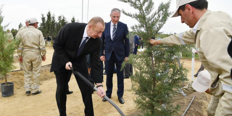 Prezident İlham Əliyev ulu öndər Heydər Əliyevin doğum gününə həsr olunan ağacəkmə aksiyasında iştirak edib