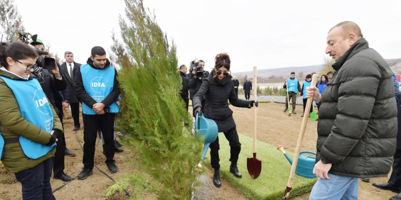 President Ilham Aliyev and first lady Mehriban Aliyeva attended tree-planting campaign in Shamakhi district 