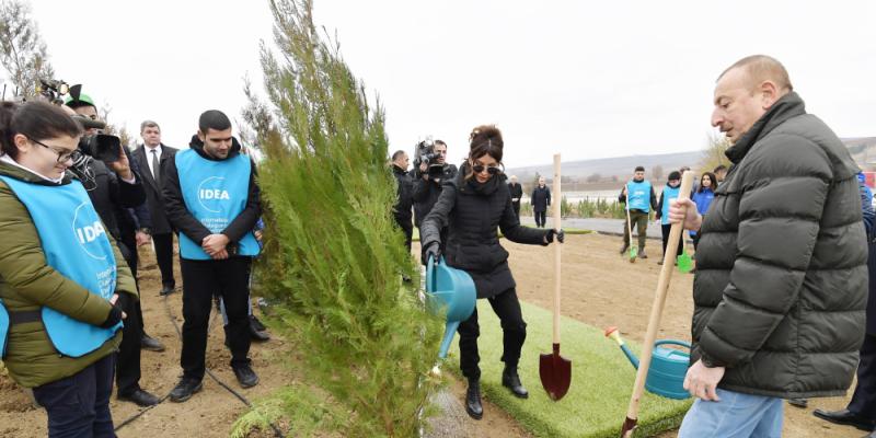 Президент Ильхам Алиев и первая леди Мехрибан Алиева приняли участие в акции по посадке деревьев в Шамахинском районе