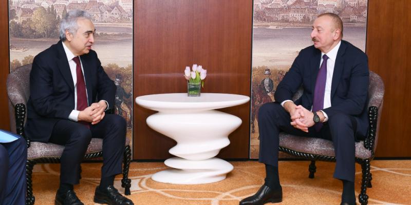 Prezident İlham Əliyev Beynəlxalq Enerji Agentliyinin icraçı direktoru ilə görüşüb