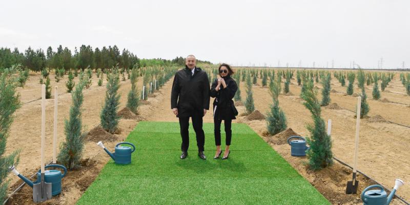 President Ilham Aliyev and first lady Mehriban Aliyeva planted trees on the occasion of national leader Heydar Aliyev’s birth anniversary