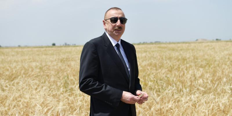 President Ilham Aliyev attended ceremony to start grain harvest in Aghjabadi