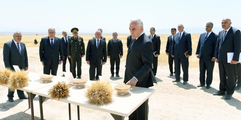 В автономной республике жатва ведется в организованном порядке