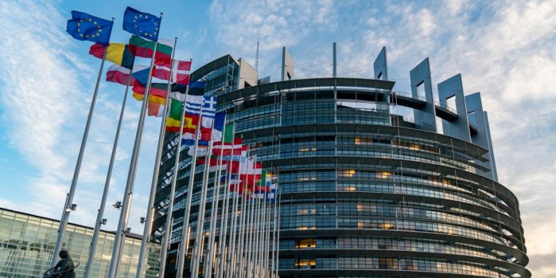 Aзербайджанская молодежь, проживающая в Европе, обратилась к парламенту