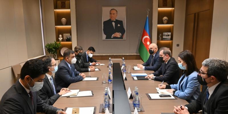 Azerbaijani FM meets with delegation led by Pakistani Director General Frontier Works Organization