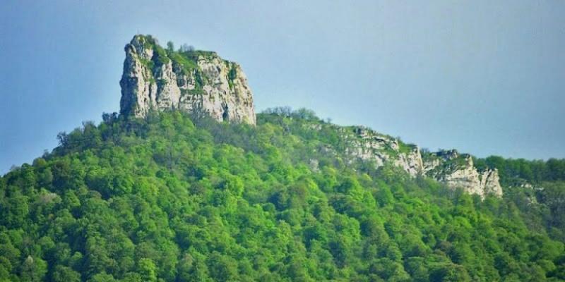 За время оккупации в Ходжавенде было уничтожено более 3500 гектаров леса и 12 природных памятников