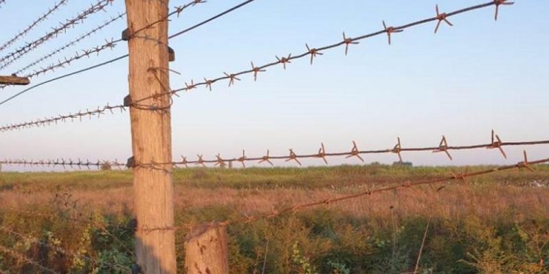 Обезврежен один из нарушителей границы, подозреваемый в убийстве нашего военнослужащего