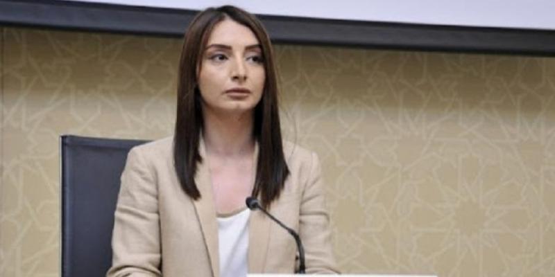 Лейла Абдуллаева: Заявление МИД Индии о последних событиях на армяно-азербайджанской границе сделано без тщательного исследования различных аспектов вопроса