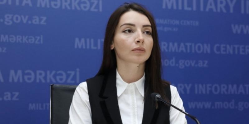 Лейла Абдуллаева: Доводим до внимания министра иностранных дел Армении, что настало время для выполнения заявлений, подписанных сторонами