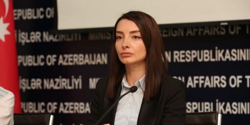 Лейла Абдуллаева: Проводить различные учения в пределах своих международных границ – это суверенное право каждого государства