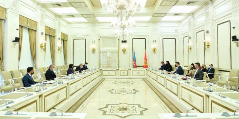Montenegro intends to broaden its cooperation with Azerbaijan, President of Montenegrin Parliament says