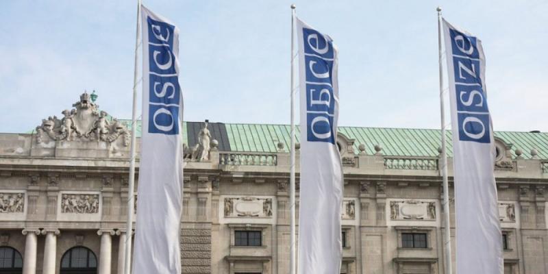 Azerbaijani Deputy FM attends OSCE Permanent Council`s special meeting