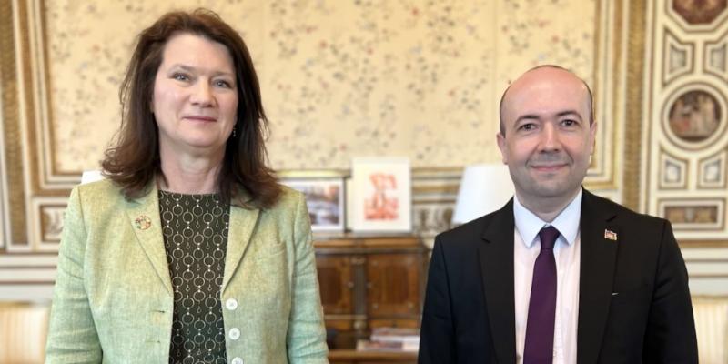 Azerbaijan, Sweden discuss bilateral and international issues