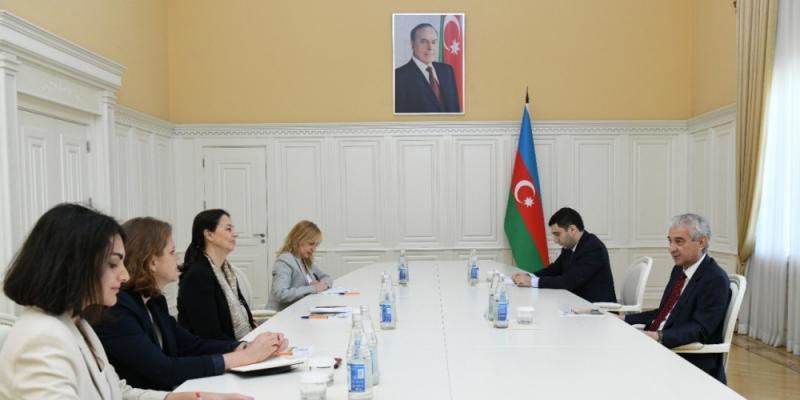 Заместитель премьер-министра Али Ахмедов встретился с новым руководителем азербайджанского представительства Международного комитета Красного Креста