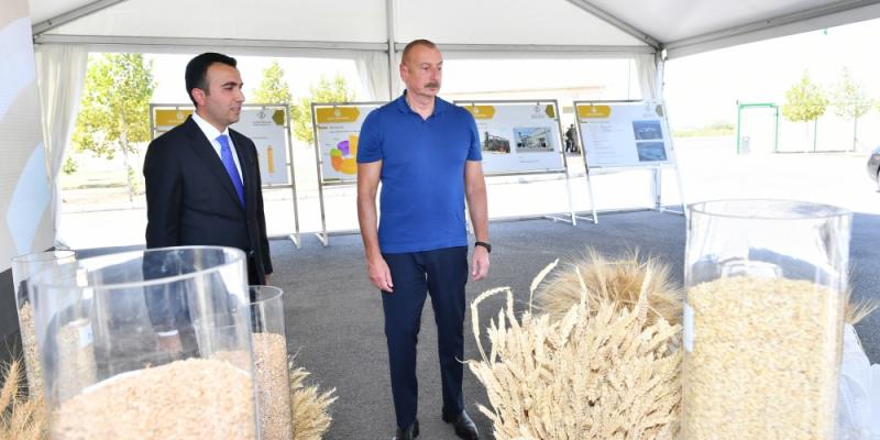 President Ilham Aliyev got acquainted with activities of “Aghsu Agropark”