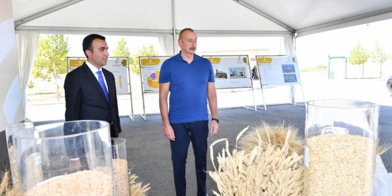 Президент Ильхам Алиев ознакомился с деятельностью Агсуинского агропарка
