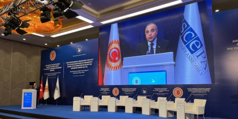 Azerbaijani MPs attend OSCE PA Silk Road Support Group`s conference