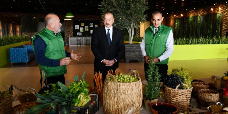 Президент Ильхам Алиев принял участие в открытии завода по переработке оливкового масла и столовых оливок в поселке Зиря