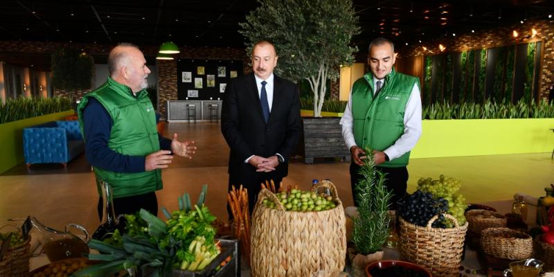 President Ilham Aliyev attended opening of olive oil and table olive products processing plant in Zira settlement