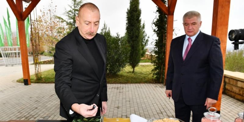 Prezident İlham Əliyev “Şəki-Oğuz” Aqroparkında yaradılan şəraitlə tanış olub