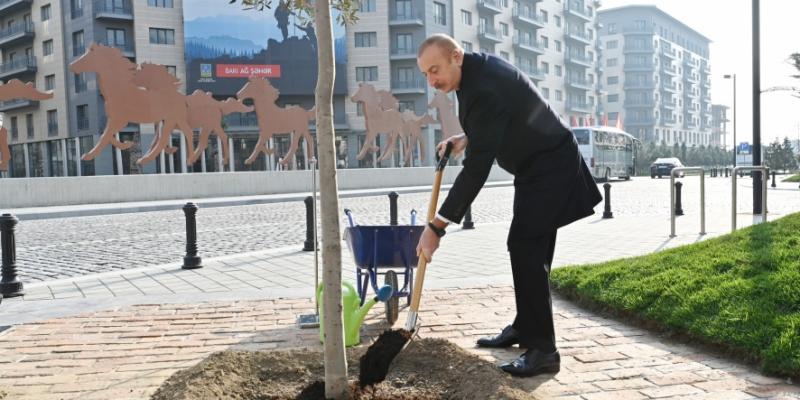 В Центральном парковом квартале Белого города Баку завершилось строительство ряда инфраструктурных объектов