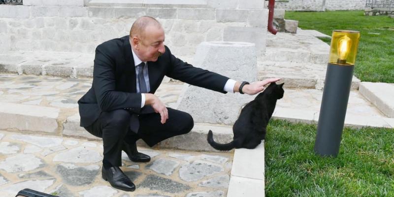 Первый вице-президент Мехрибан Алиева поделилась публикацией из Шуши