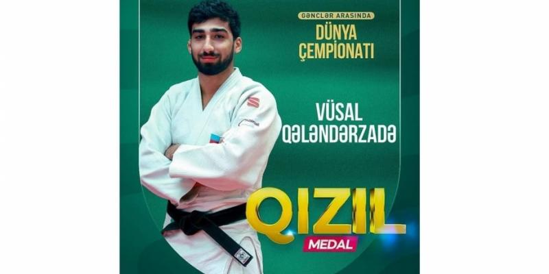 Азербайджанский дзюдоист стал чемпионом мира