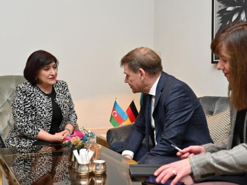 Azerbaijan, Germany discuss development of interparliamentary ties