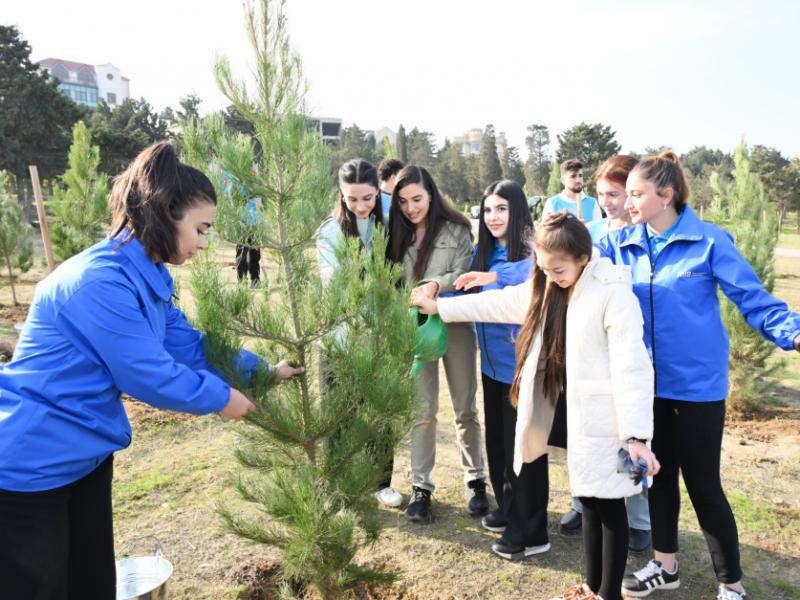 Leyla Aliyeva joins tree-planting campaign in Sabunchu district of Baku