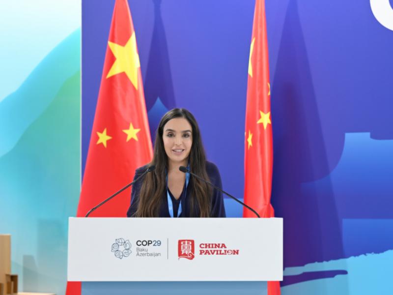 Vice-President of Heydar Aliyev Foundation Leyla Aliyeva participates in panel discussion at China pavilion