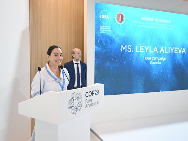 Leyla Aliyeva participates in panel discussions on marine mammals as part of COP29