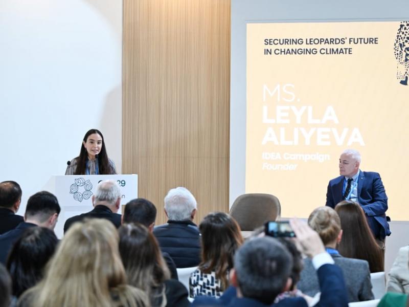 Leyla Aliyeva addresses COP29 panel on leopard conservation