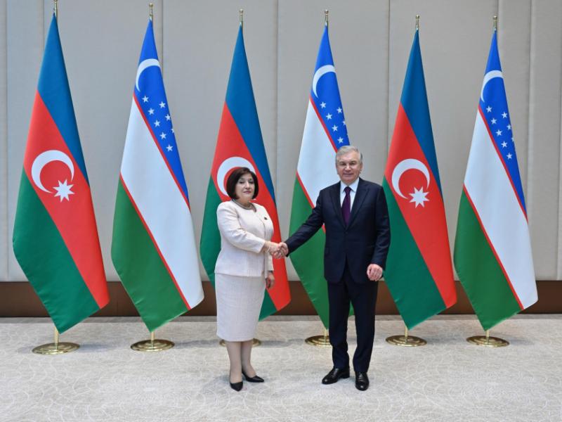 Milli Məclisin sədri Özbəkistan Prezidenti Şavkat Mirziyoyevlə görüşüb