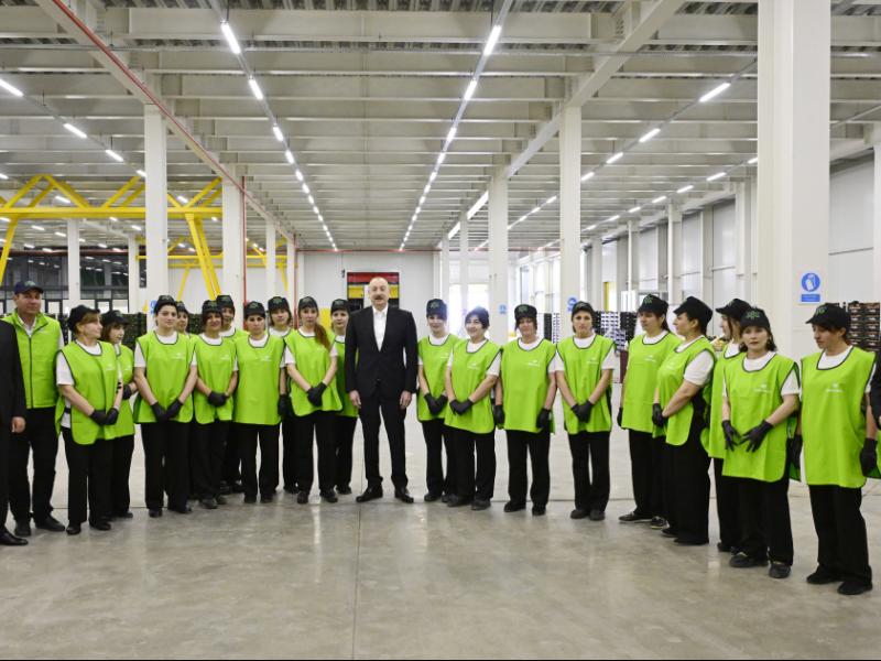 President Ilham Aliyev inspected operations of horticulture and cold storage complex in Gusar District