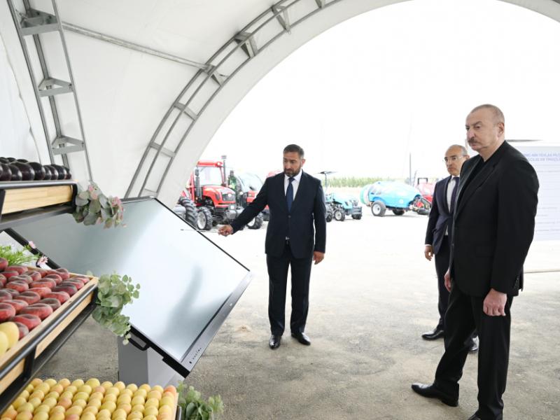 President Ilham Aliyev attended opening of Yevlakh pilot agricultural park
