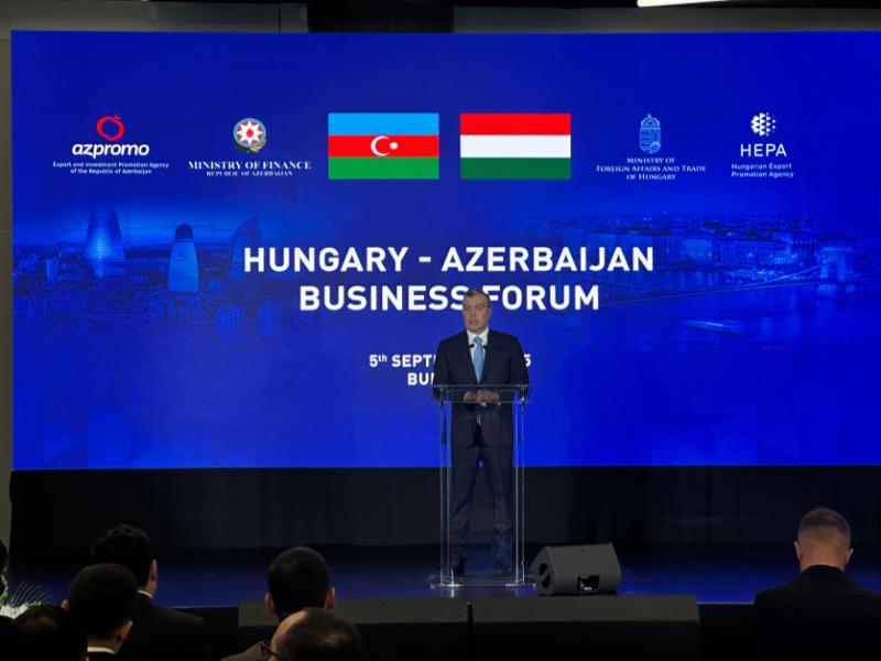 Budapeştdə Azərbaycan-Macarıstan biznes-forumu keçirilib