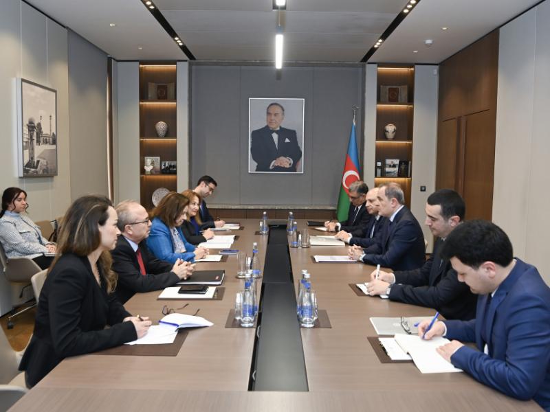 Turkish Deputy Foreign Minister briefed on Azerbaijan-Armenia normalization process