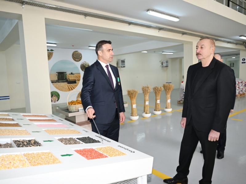 Sabirabad Sənaye Məhəlləsində toxum istehsalı müəssisəsinin fəaliyyəti ilə tanışlıq