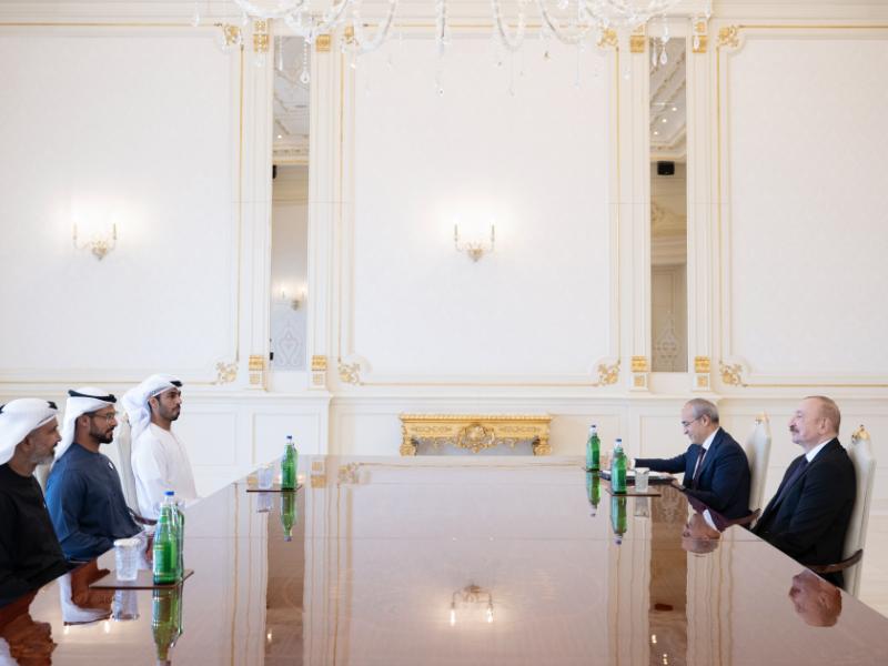 President Ilham Aliyev received heads of several UAE companies