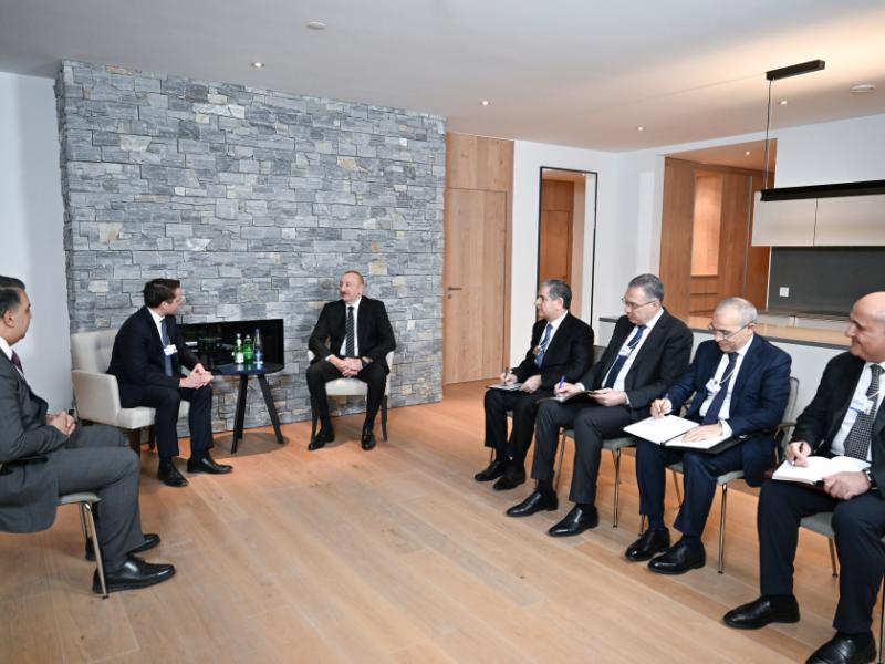 President Ilham Aliyev met with President of Brookfield Asset Management in Davos