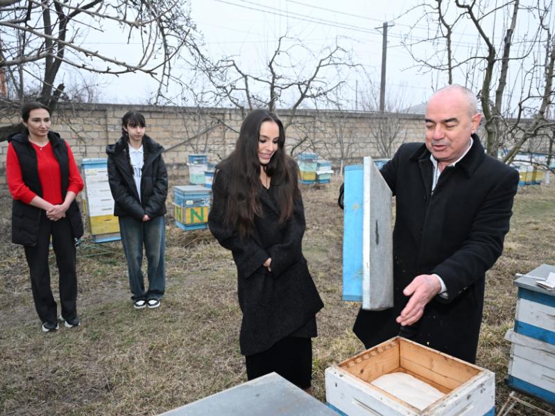 Leyla Aliyeva visits beekeeper’s family in Guba