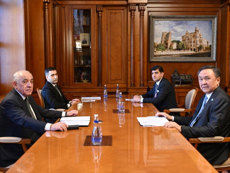 В период председательства Азербайджана в ОТГ будут продолжены усилия по укреплению авторитета организации