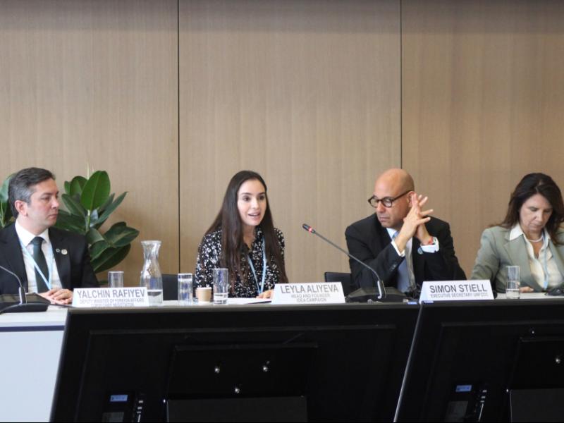 Leyla Aliyeva participates in Bonn discussion on environmental impact of Caspian Sea’s declining water level