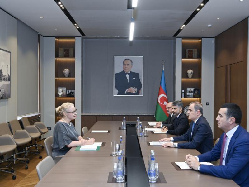 Swedish ambassador briefed on Azerbaijan-Armenia normalization process